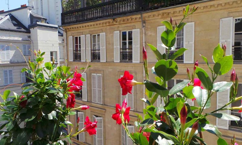 Hotel Saint Germain Paris - France