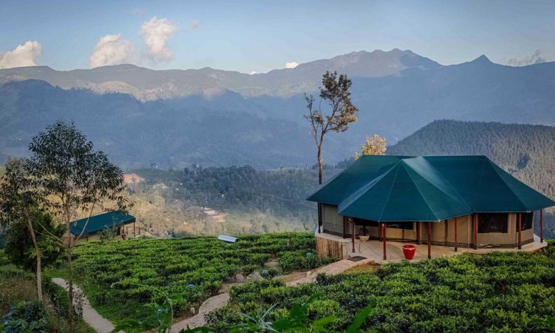 Madulkelle Tea and Eco Lodge - Sri Lanka