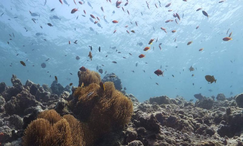 Cheval Blanc Randheli Maldives