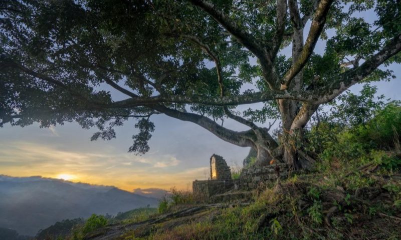 Madulkelle Tea and Eco Lodge - Sri Lanka