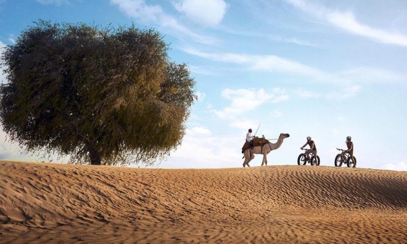 Bab Al Shams Desert Resort & Spa Dubai - United Arab Emirates