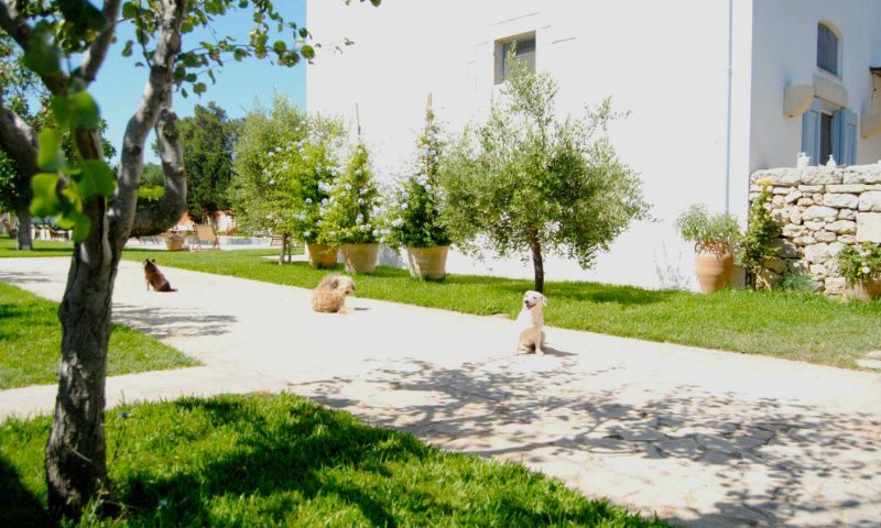 Masseria Montelauro Otranto, Puglia - Italy