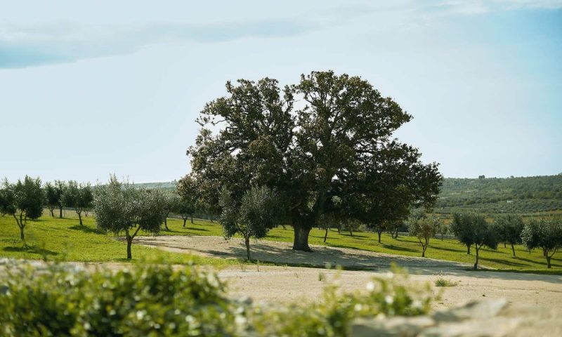 Masseria Grieco Ostuni, Puglia - Italy
