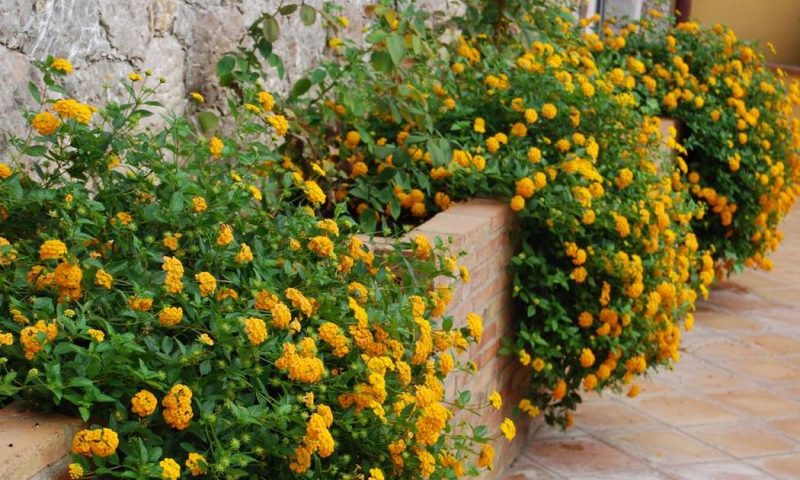 Villa Angela Taormina, Sicily - Italy
