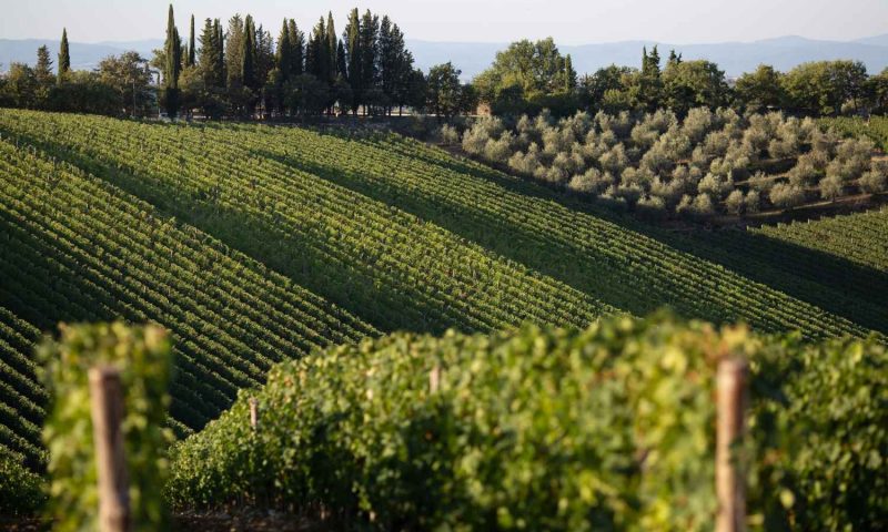 Castello di Ama Chianti, Tuscany - Italy