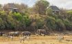 Leroo La Tau - Botswana