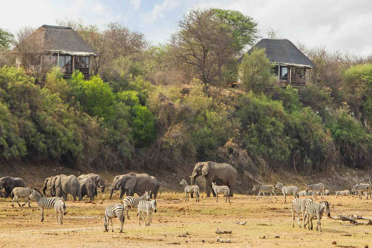 Leroo La Tau - Botswana