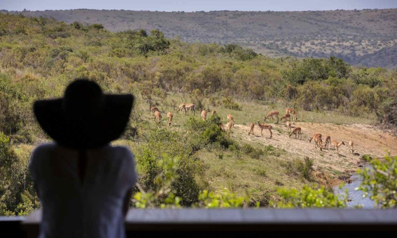 Kichaka Luxury Game Lodge, Eastern Cape - South Africa