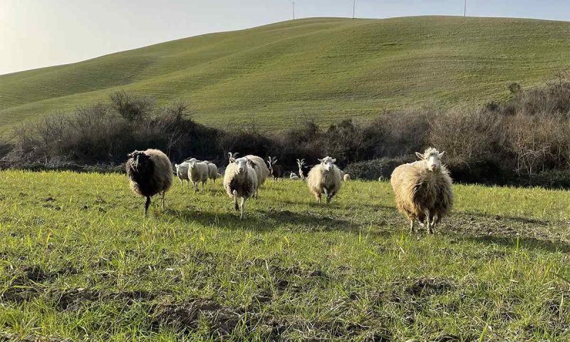 La Tana del Bianconiglio Val D