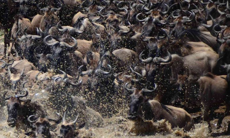 Olarro Plains Maasai Mara - Kenya
