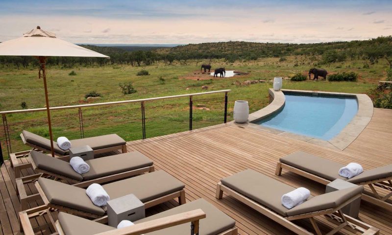 Mhondoro Safari Lodge, Limpopo - South Africa