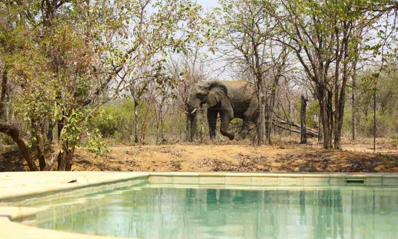Xanatseni Private Camp, Mpumalanga - South Africa