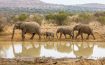 Shepherds Tree Game Reserve, North West - South Africa