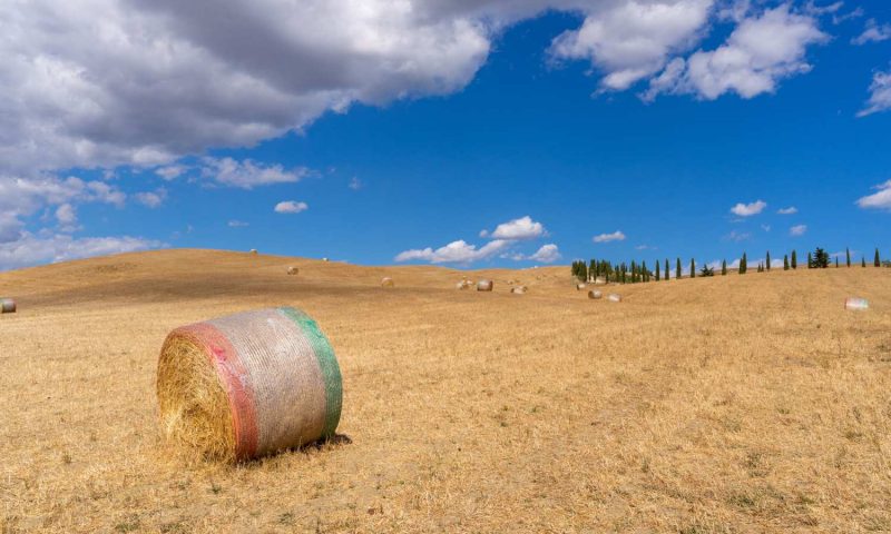 La Tana del Bianconiglio Val D