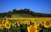Castello Monticelli Marsciano, Umbria - Italy