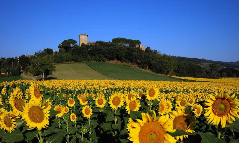 Castello Monticelli Marsciano, Umbria - Italy