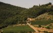 Terre Di Baccio Chianti, Tuscany - Italy