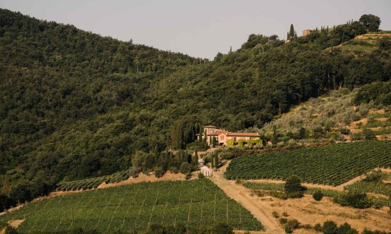 Terre Di Baccio Chianti, Tuscany - Italy