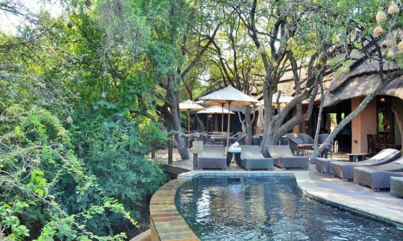 Motswiri Private Safari Lodge, North West - South Africa