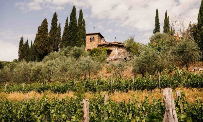 Terre Di Baccio Chianti, Tuscany - Italy