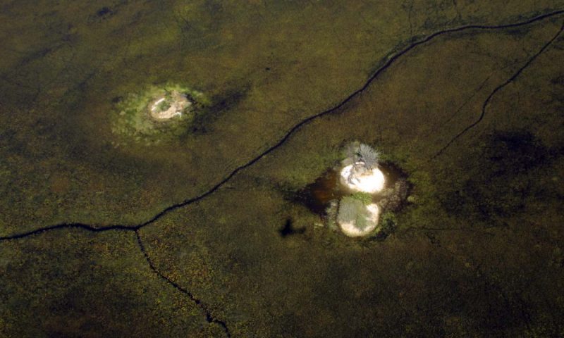 Pom Pom Camp - Botswana