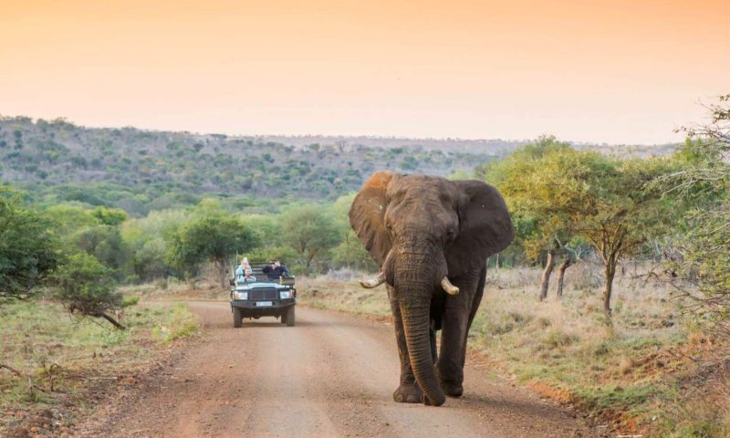 Leopard Mountain Safari Lodge, Kwazulu Natal - South Africa