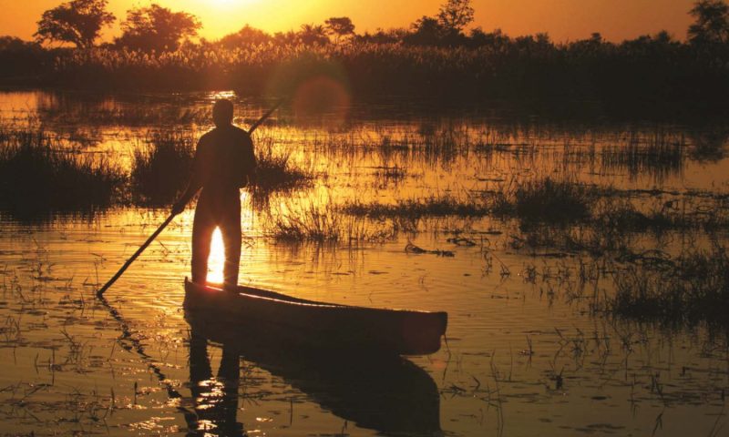 Pom Pom Camp - Botswana