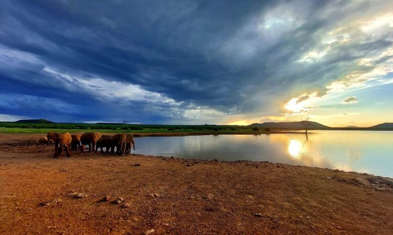 Motswiri Private Safari Lodge, North West - South Africa