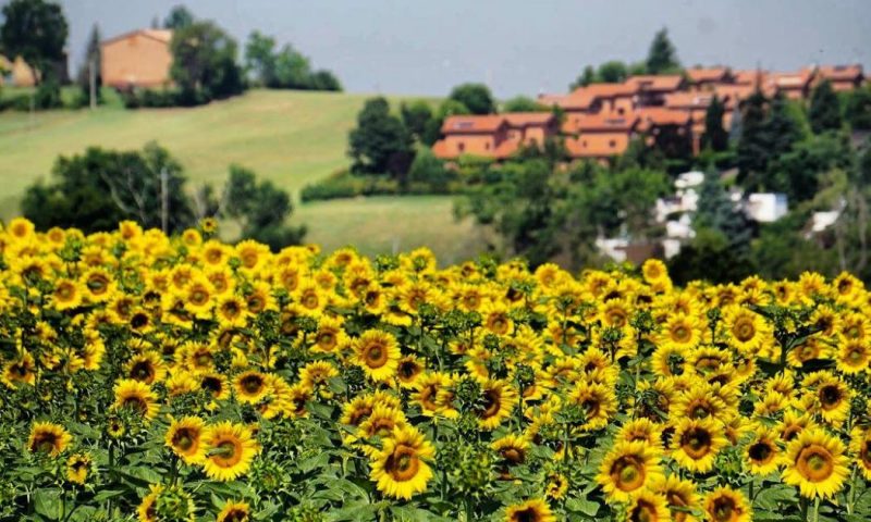 Poste del Chiugi Castiglione Del Lago, Umbria - Italy