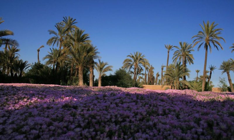 Ksar Char Bagh Marrakech - Morocco