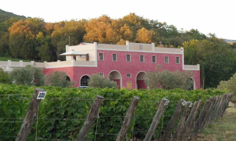 Tenuta il Sassone Massa Marittima, Tuscany - Italy