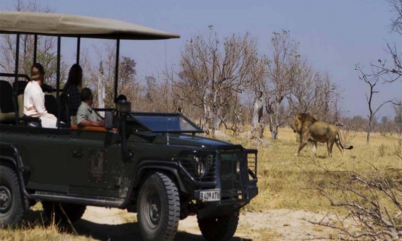 Xakanaxa Camp - Botswana