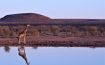 Motswiri Private Safari Lodge, North West - South Africa