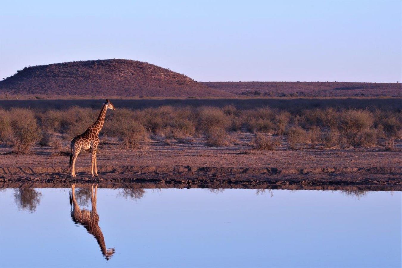 Motswiri Private Safari Lodge, North West - South Africa