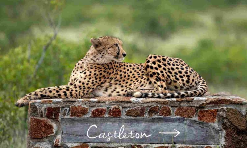 Singita Lebombo Lodge, Mpumalanga - South Africa
