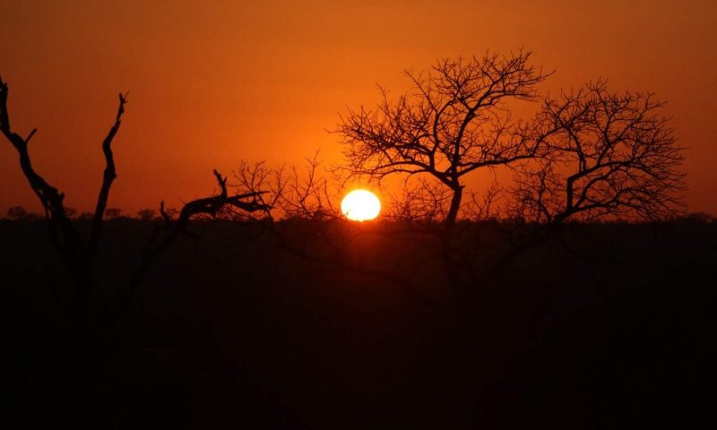 Kings Camp Private Game Reserve, Mpumalanga - South Africa