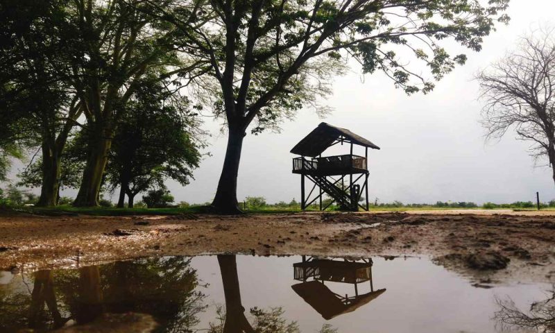 Xanatseni Private Camp, Mpumalanga - South Africa