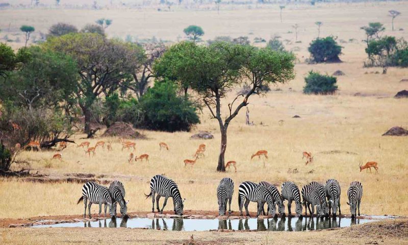 Singita Lebombo Lodge, Mpumalanga - South Africa
