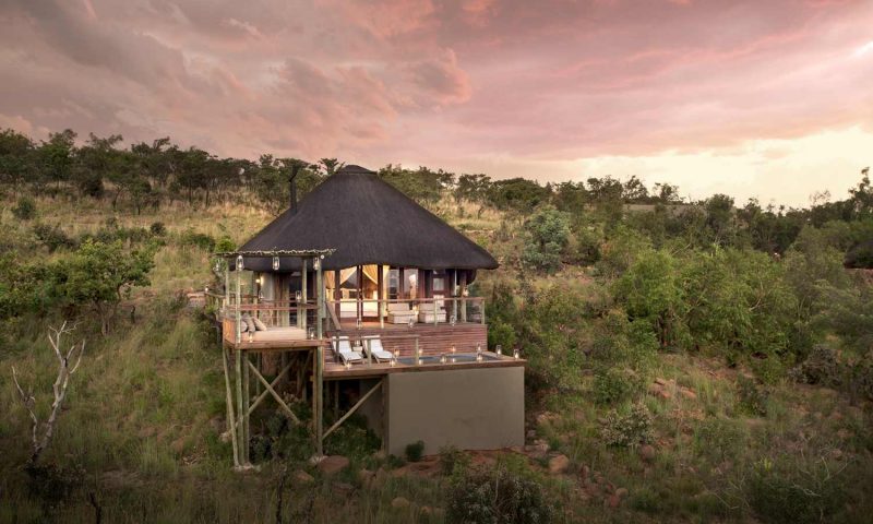 Mhondoro Safari Lodge, Limpopo - South Africa