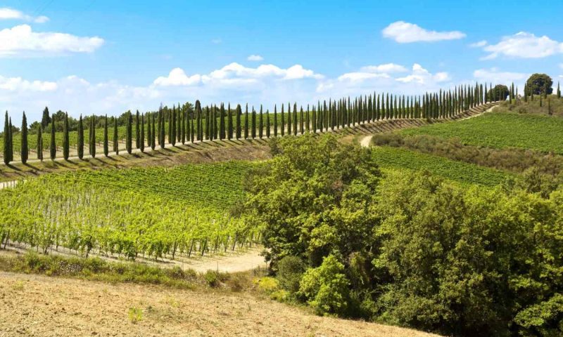 Dimora Santa Margherita, Tuscany - Italy