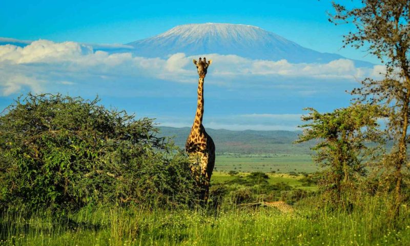 Campi Ya Kanzi - Kenya