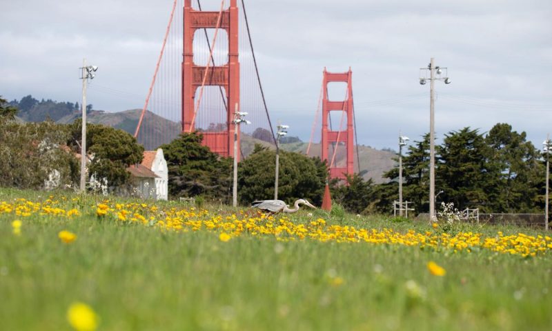 The Lodge at the Presidio San Francisco, California - United States Of America