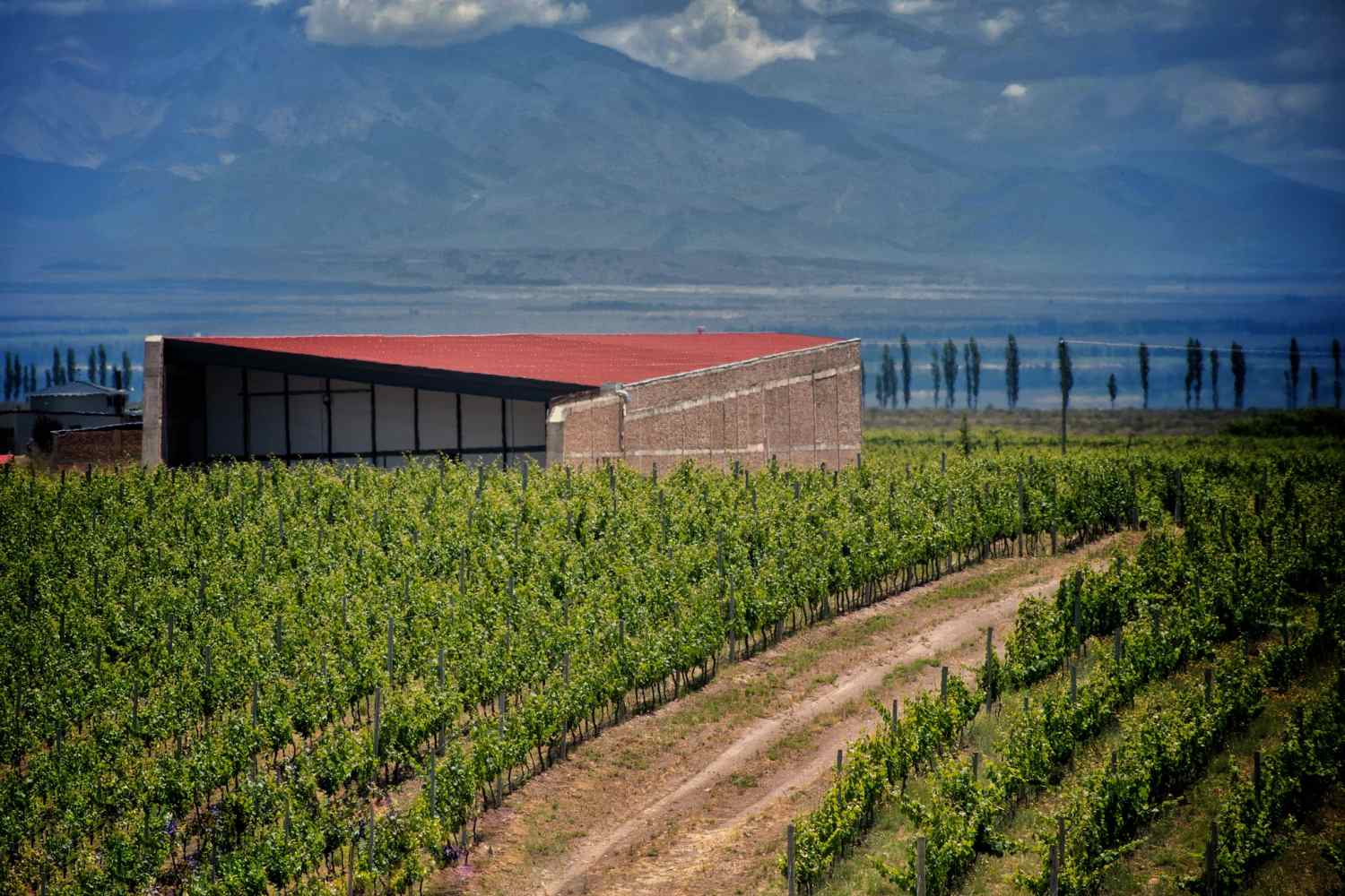 Alpasion Lodge Mendoza - Argentina