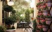 Bespoke Inn Scottsdale, Arizona - United States Of America