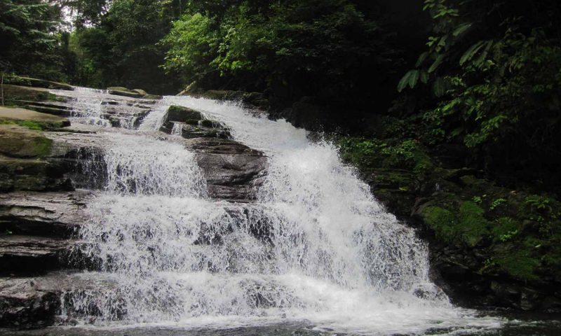 Ave Sol River Sanctuary - Costa Rica