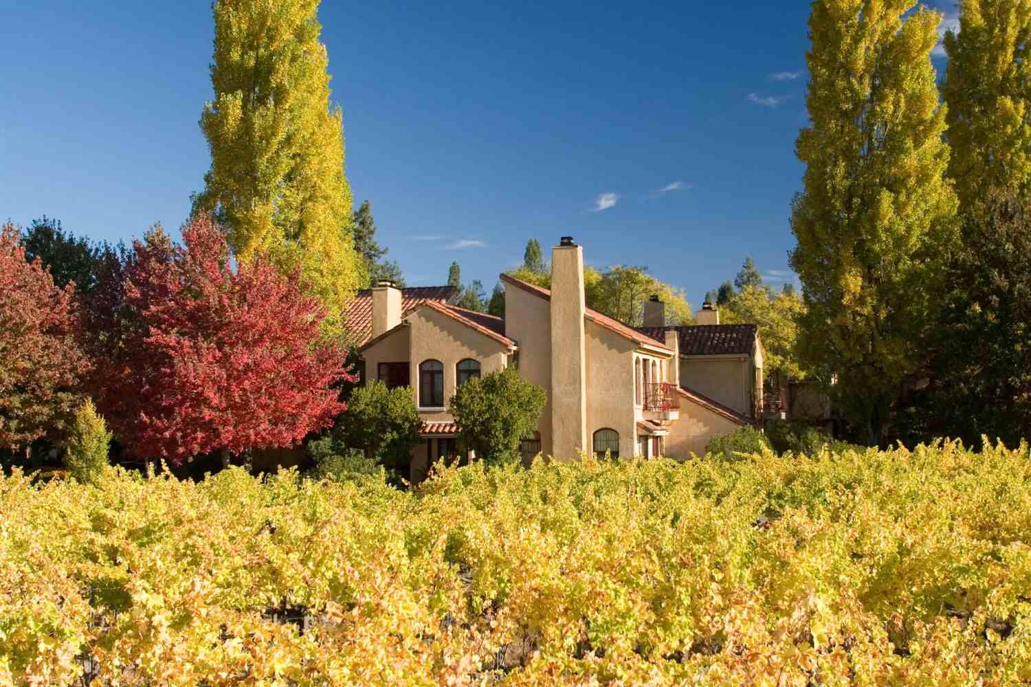 Vintners Inn Santa Rosa, California - United States Of America