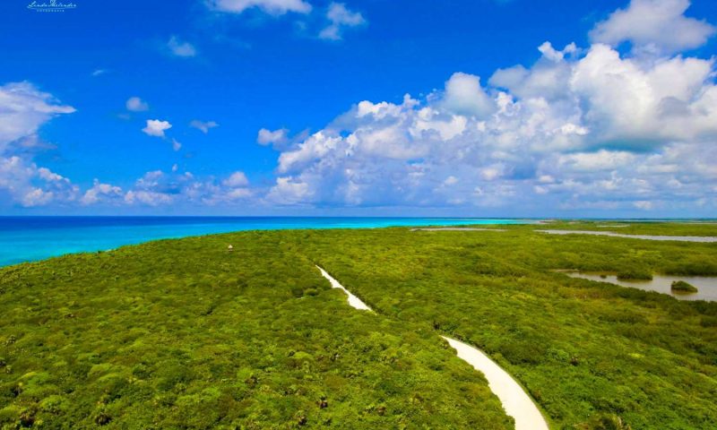 The Explorean Cozumel, Quintana Roo - Mexico