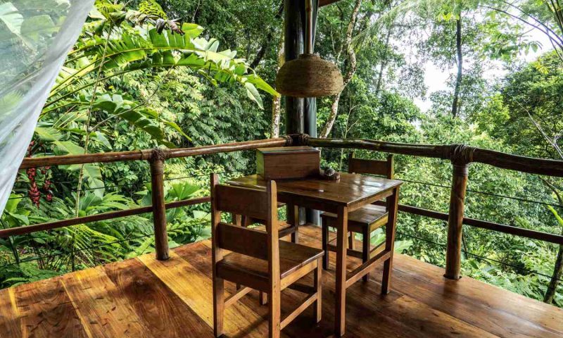 La Loma Jungle Lodge & Chocolate Farm - Panama