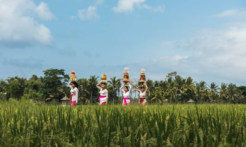 Tanah Gajah Bali - Indonesia