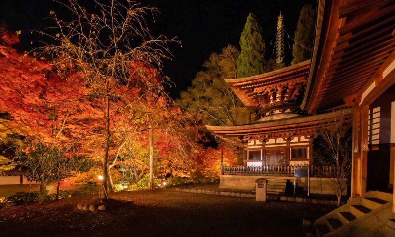 Ryokan Sui Suwako Nagano, Chubu - Japan
